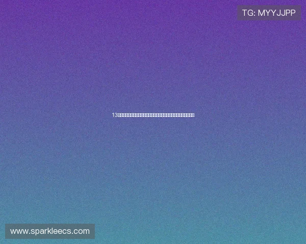 13张棋牌的详细规则介绍及其在体育网站世界杯报道中的内容优化技巧